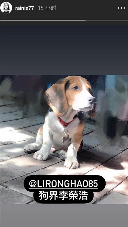 太狠了！杨丞琳晒狗界李荣浩 连自己老公都黑？