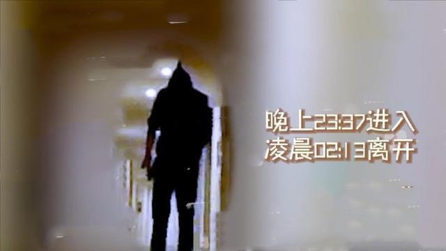 炒作还是因戏生情？陈星旭张婧仪疑似恋情曝光 连续两晚进女方房间