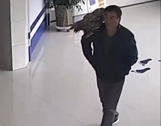 气质拿捏的死死的!男子捡到猫头鹰肩扛送派出所 走出大哥的步伐!