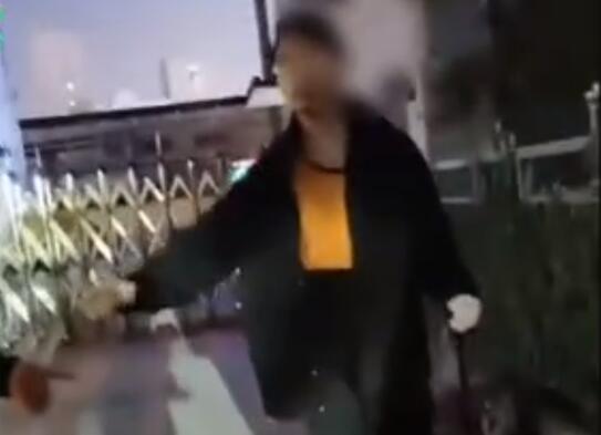 太原一男子当街虐猫!后续 用开水烫怀孕母猫男子被开除