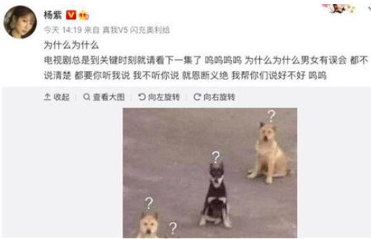 【问号脸】杨紫吐槽电视剧的套路 评论区画风突变