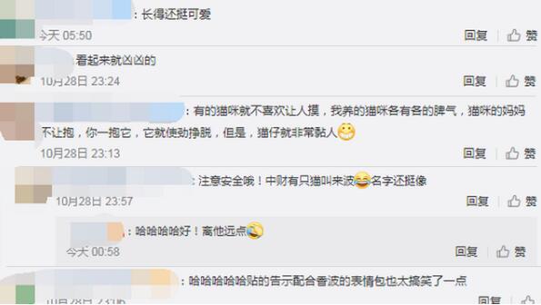 蔫了！北大流浪猫因抓人被连贴12张告示 突然被打入冷宫