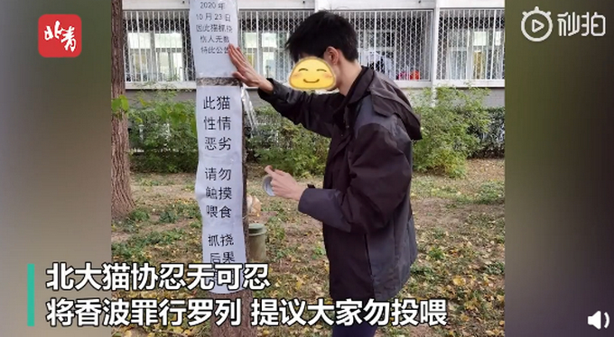 不许摸!北大流浪猫因抓人被连贴12张告示