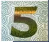 【详解】新版人民币5元纸币即将发布,新版5元纸币具体有哪些变化?