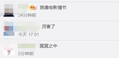万幸!荷兰轻轨冲出轨道被鲸鱼雕像接住
