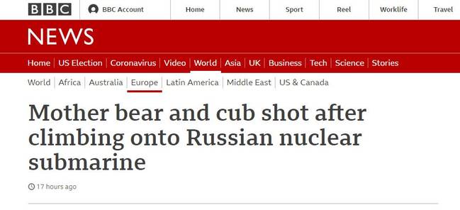 熊母子爬上潜艇遭“枪击”引发愤怒，俄罗斯海军：别无选择