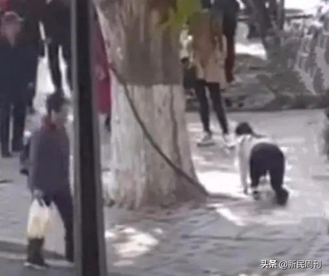 博眼球、涨粉？女主播西湖边“爬跪征婚”，网络直播炒作还有底线吗？