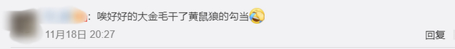 金毛干起了黄鼠狼的勾当!养鸡场丢300多只鸡 小偷是只金毛