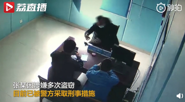 金毛干起了黄鼠狼的勾当!养鸡场丢300多只鸡 小偷是只金毛