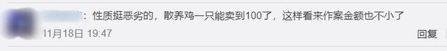 金毛干起了黄鼠狼的勾当!养鸡场丢300多只鸡 小偷是只金毛