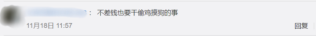 金毛干起了黄鼠狼的勾当!养鸡场丢300多只鸡 小偷是只金毛