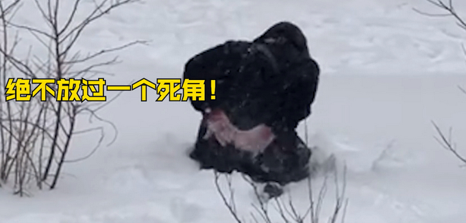 东北大妈用雪洗貂皮大衣 网友：学到了！现在就缺雪了！