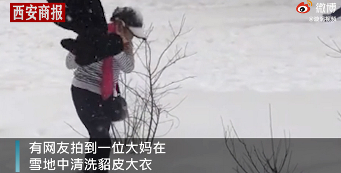 东北大妈用雪洗貂皮大衣 网友：学到了！现在就缺雪了！