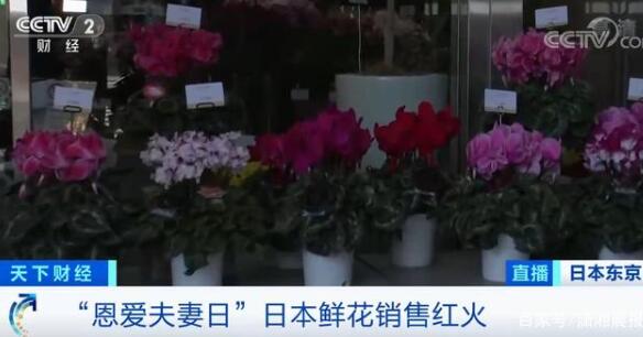 【围观】超4成日本年轻女性不结婚不恋爱，新婚夫妇可领4万元补贴