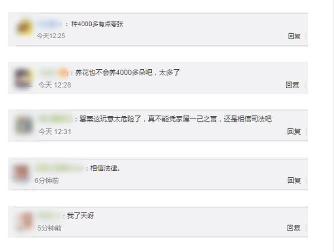 75岁老太误种罂粟被判5年 家中有4104株罂粟幼苗