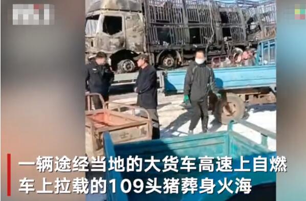 货车起火上百头猪葬身火海 事发长深高速公路辽宁凌源段