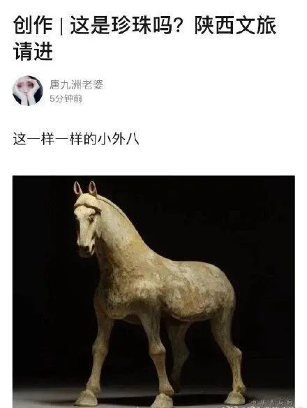 关注丁真背后我们关注的是什么?