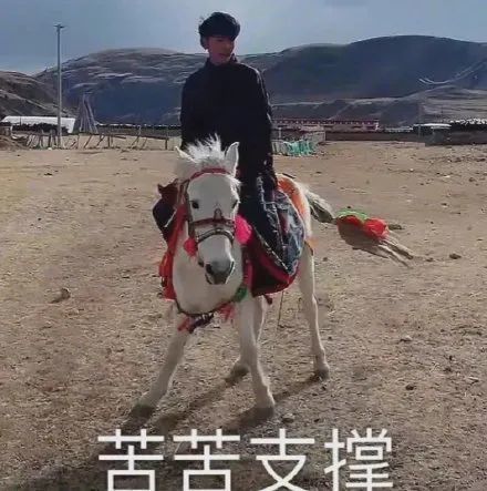 关注丁真背后我们关注的是什么?