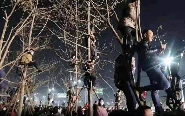 顶流实火！观众为了看潘长江演出爬上树