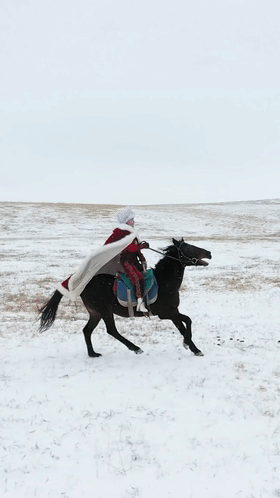 百万打赏用于公益!女副县长雪地策马爆红:已停直播