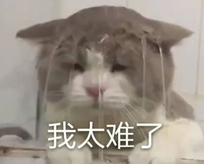 今冬以来最强寒潮来了!寒潮橙色预警:局地降温超16度