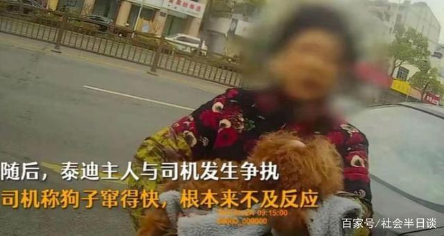 狗狗未拴绳过马路被撞死主人全责，还要赔付车辆的维修费用