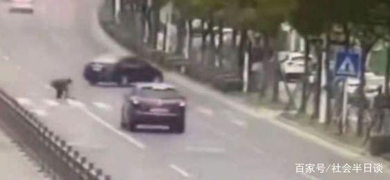 狗狗未拴绳过马路被撞死主人全责，还要赔付车辆的维修费用