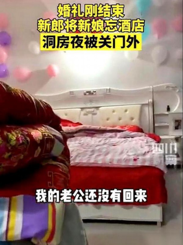 【真好嗑】新郎结完婚把新娘忘在酒店,凌晨才跑去认错