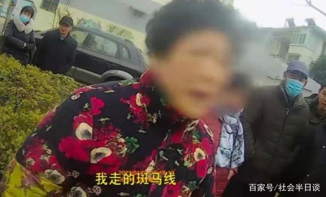 狗狗未拴绳过马路被撞死主人全责 到底发生了什么？