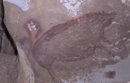 世界最古老艺术画是一只猪？印尼发现4.55万年前疣猪壁画