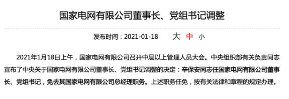 辛保安任国家电网有限公司董事长