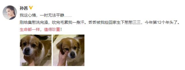 郑爽代孕事件有多让人愤怒?15家官媒下场发声,多位明星内涵
