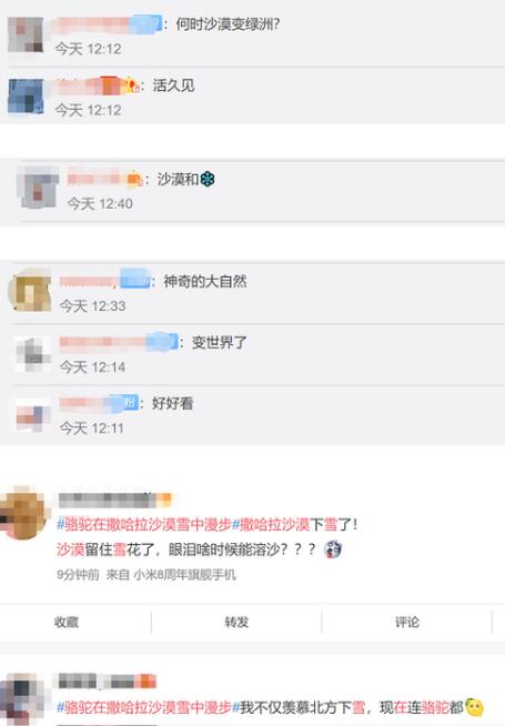 神奇的大自然!骆驼在撒哈拉沙漠雪中漫步上热搜