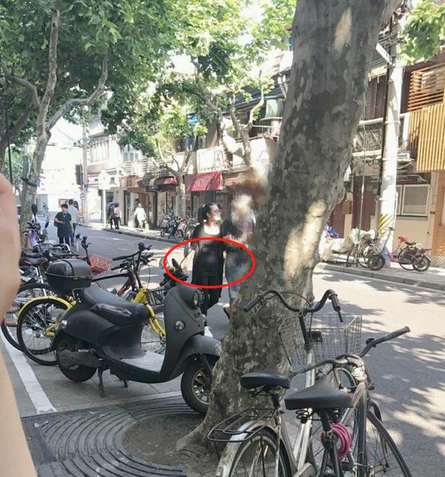 疑张雨绮代孕合同曝光 张雨绮代孕龙凤胎赚了10亿?
