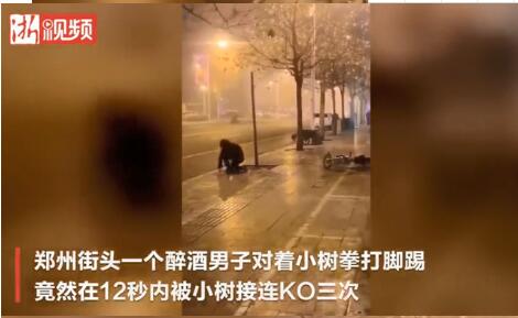 又菜又爱玩！醉汉与小树对打12秒被KO三次 爬起继续打