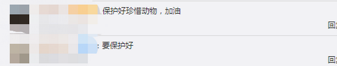 水质变好啦！深圳海湾出现白海豚 这一幕太难得