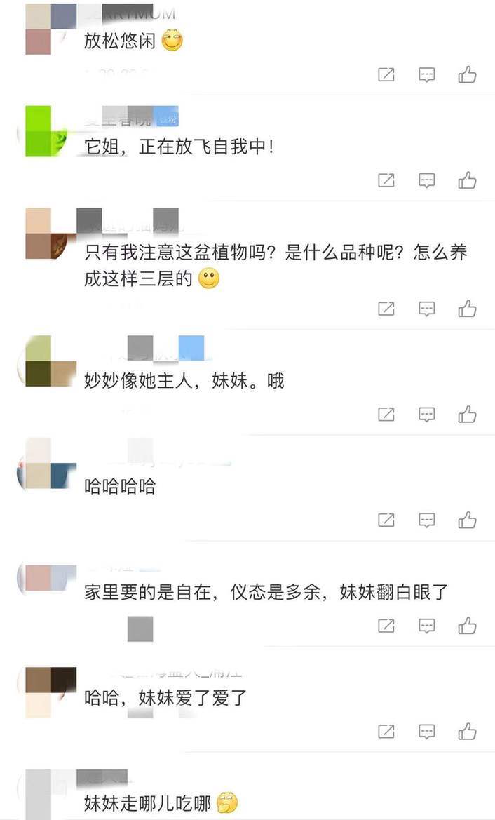 前央视最美主持赵子琪晒娃 曝光了赵子琪家中的内景