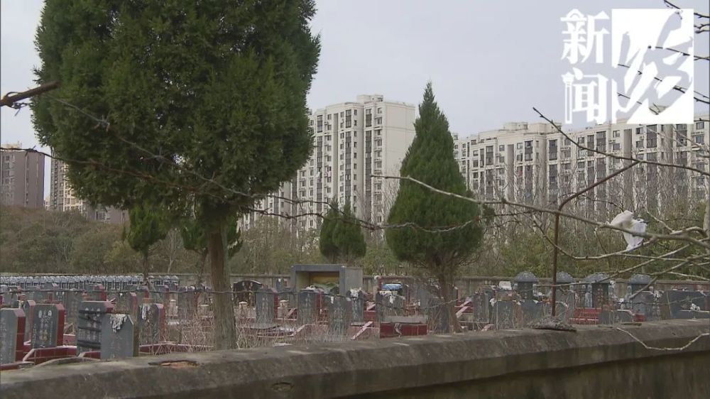 鬼宅心慌慌!河景房变墓景房!上百户居民很闹心,具体咋回事？
