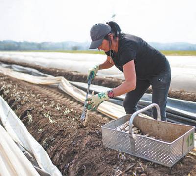 一些国家采取有效耕地保护措施—— 确保耕地数量 提升耕地质量