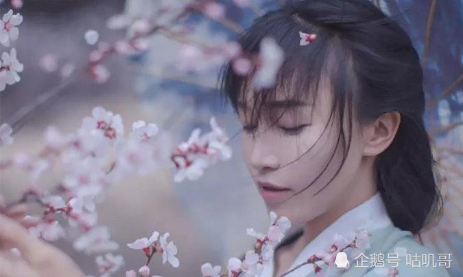 李子柒刷新YouTube订阅量吉尼斯世界纪录 小姐姐厉害了