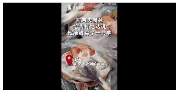 画风清奇!女儿就地过年 爸妈寄来了一头羊
