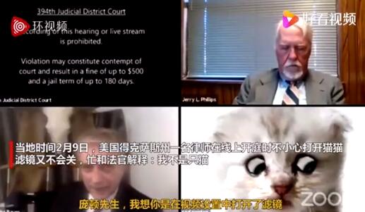 可可爱爱！美律师线上开庭不小心打开猫滤镜上热搜