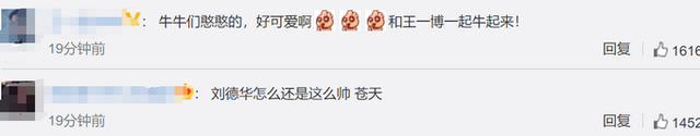 刘德华云录制毫无违和感 好像在现场一样，太厉害了！