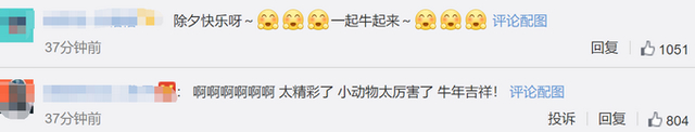 刘德华云录制毫无违和感 好像在现场一样，太厉害了！