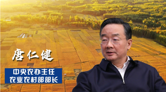 今年能吃到便宜猪肉吗?官方回应来了！