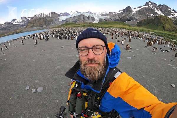土豪金？南极发现全球首只金色企鹅 网友神评：充了QQ会员
