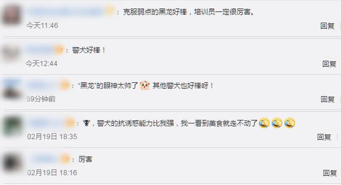 定力十足！警犬面对火腿肠诱惑不为所动，耍得了帅卖得了萌！
