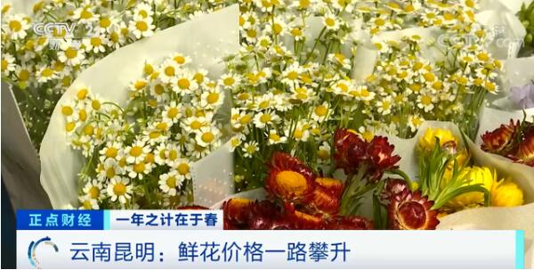 三八妇女节临近 鲜花涨价近4倍 具体啥情况？