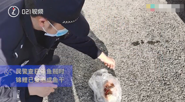 迷惑行为大赏!男子偷5万元锦鲤晒成小鱼干,知道价格后傻眼