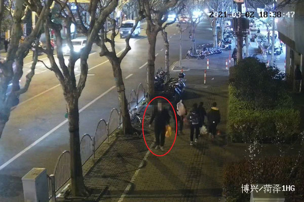 3万元加菲猫因长得太萌被人偷走！黄色马夹袋提供了线索